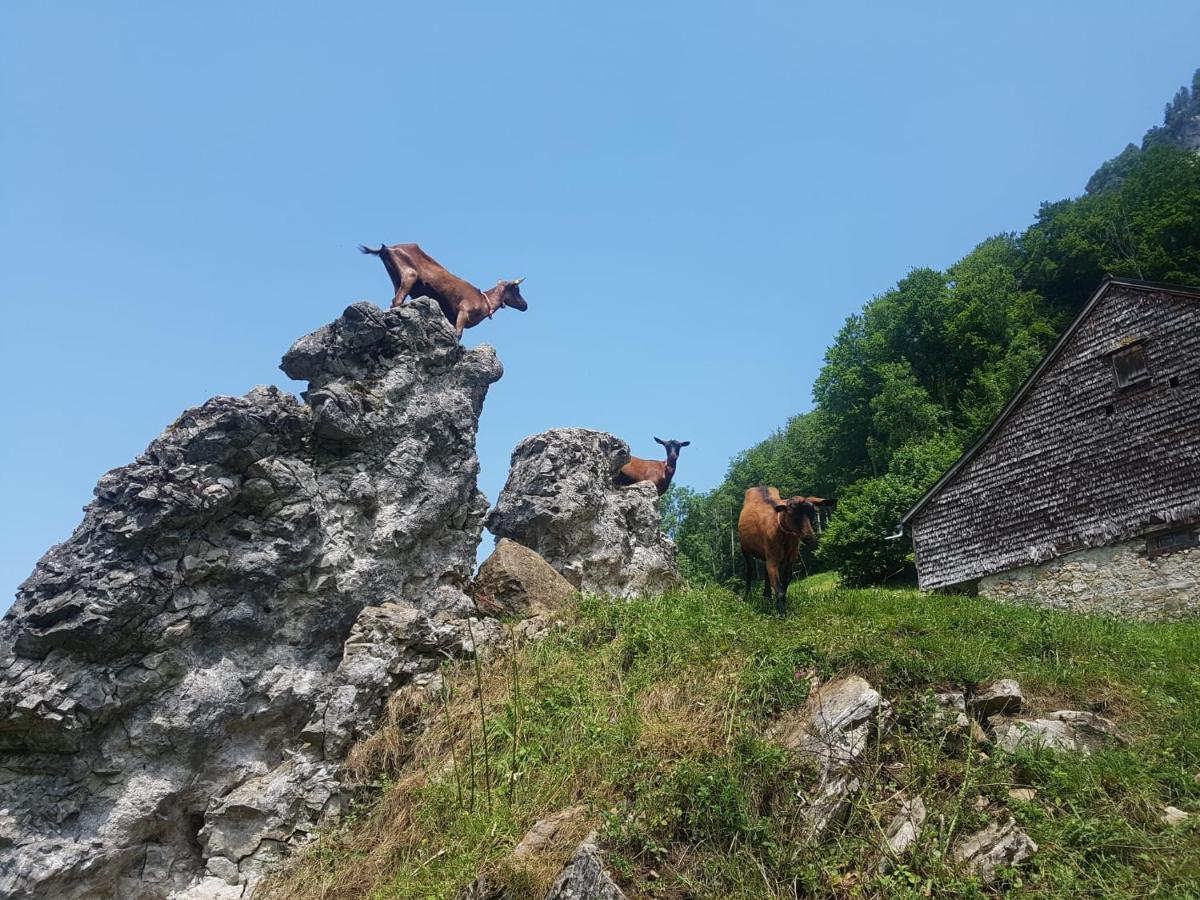 Apartament Ferien Im Gugger Nesslau Zewnętrze zdjęcie