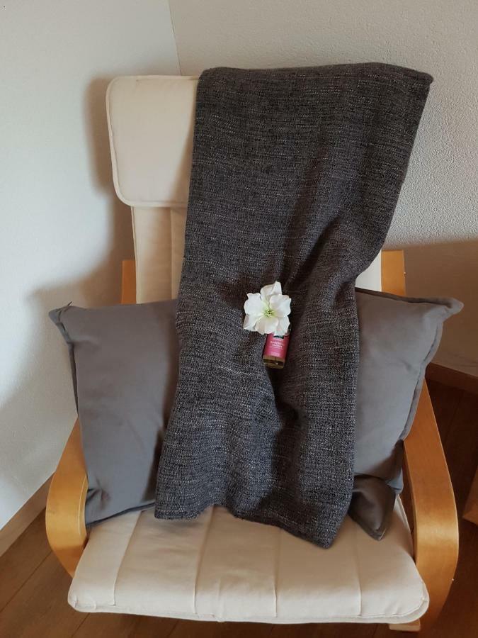 Apartament Ferien Im Gugger Nesslau Zewnętrze zdjęcie